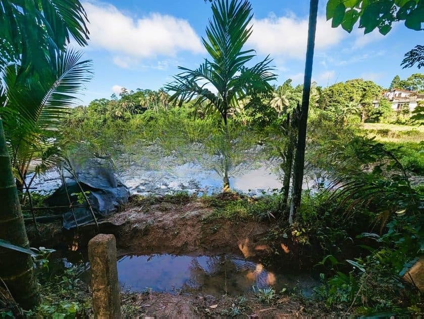 Land for sale in Haggalla