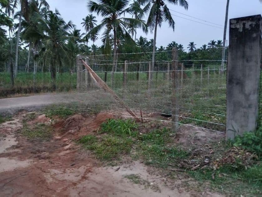 Land for Sale in Negombo