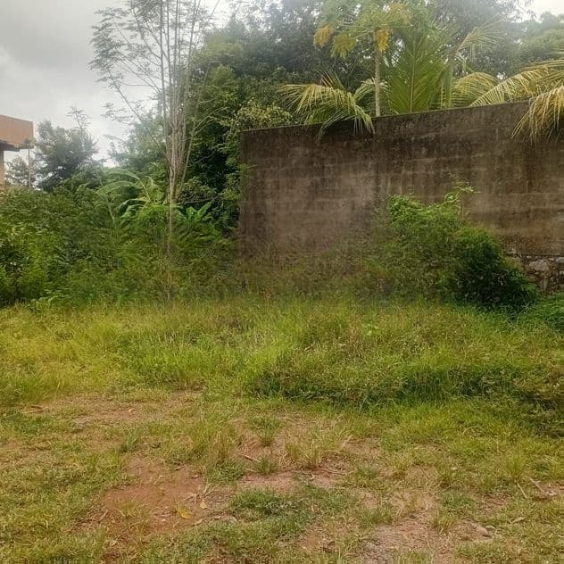 Polhengoda Land for Sale in Colombo 05 – Close to High Level Road