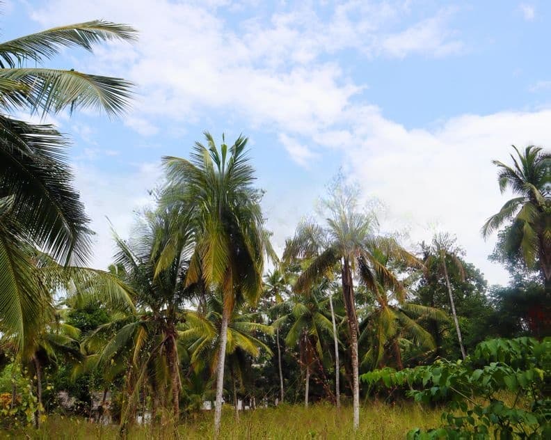 Yakkala Prime Land for Sale