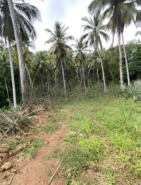Yakkala - Land for Sale