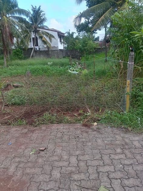 Best Residential Land for Sale Boralesgamuwa
