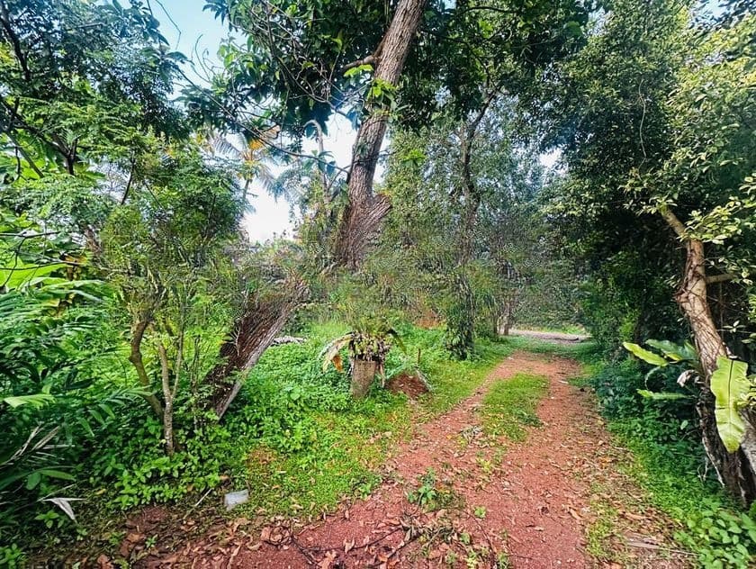 (AFA649) 30 perches residential bare land for sale in maharagama