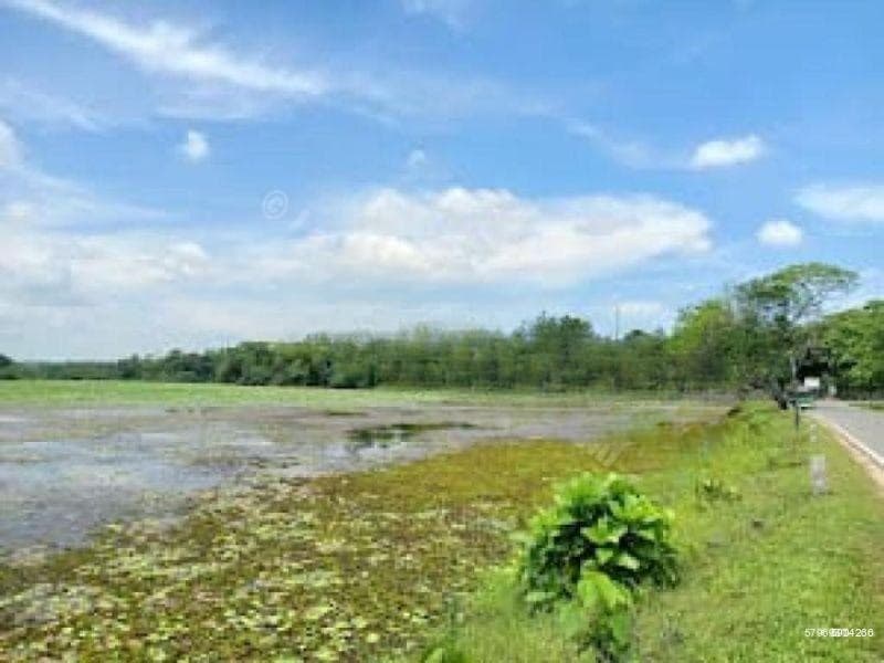 175 Perches Land with House for Long Term Lease in Battaramulla for LKR 1 Million Per Month - KO-441