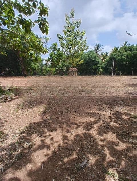 අගනා වටිනා ඉඩමක් පෙරිමියන්කුලම