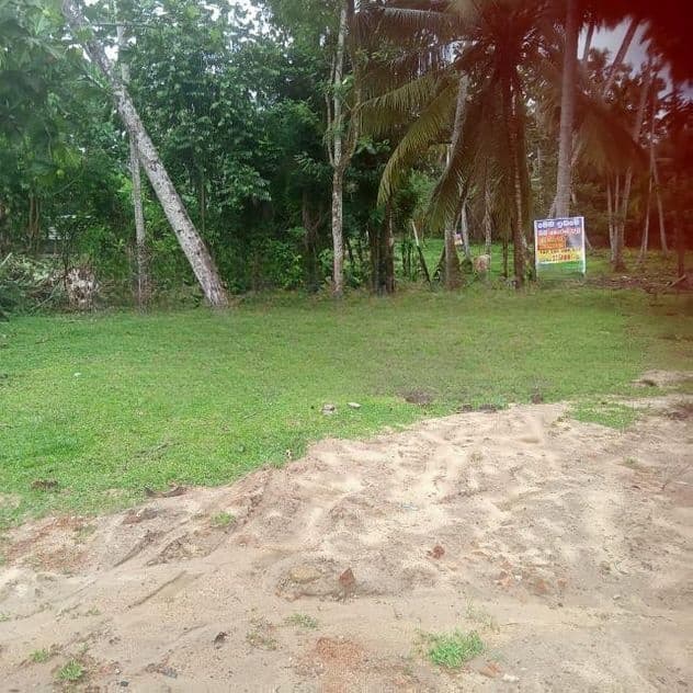 කොටුගොඩ පොල්වත්තෙන් ඉඩමක්