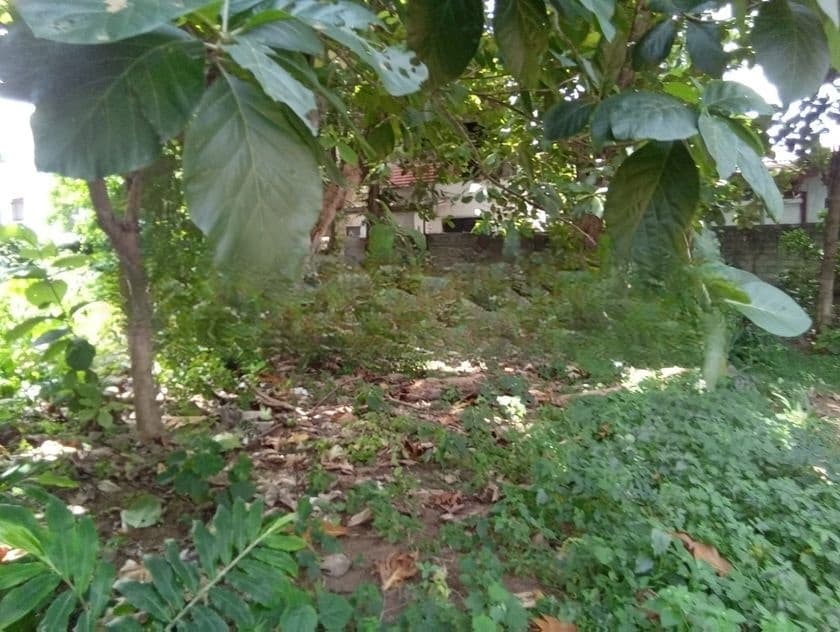 Prime Land for Sale – Kandana
