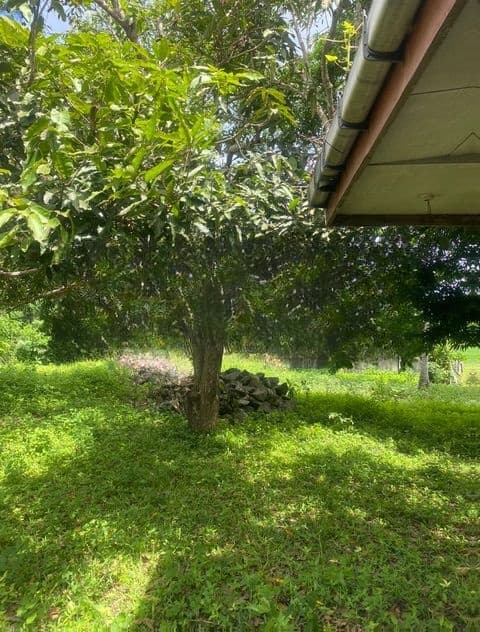 Land For Sale Mountlavinia