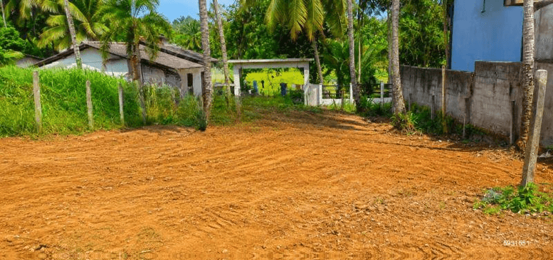Nittambuwa 10 Perches Land for Sale (SSPL-492)