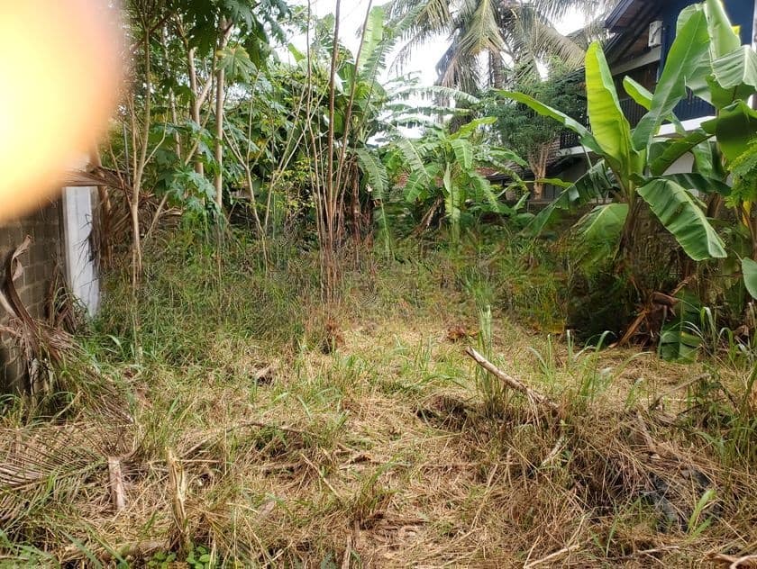 Land for Sale in Liyanagemulla