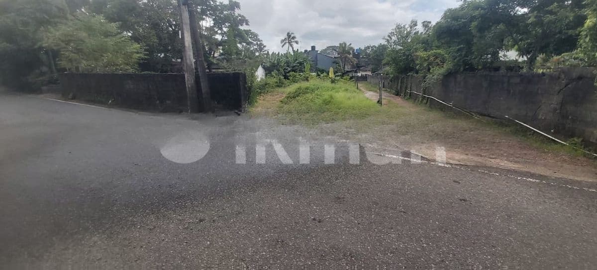 Super Land for Sale Boralesgamuwa