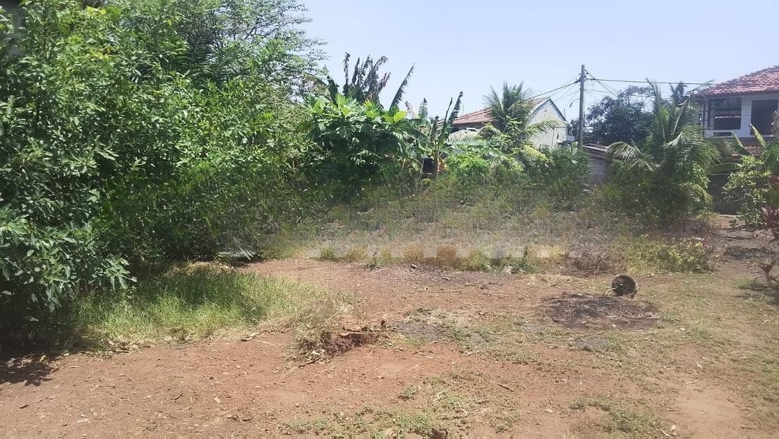 Negombo : 140 Perches Land for Sale