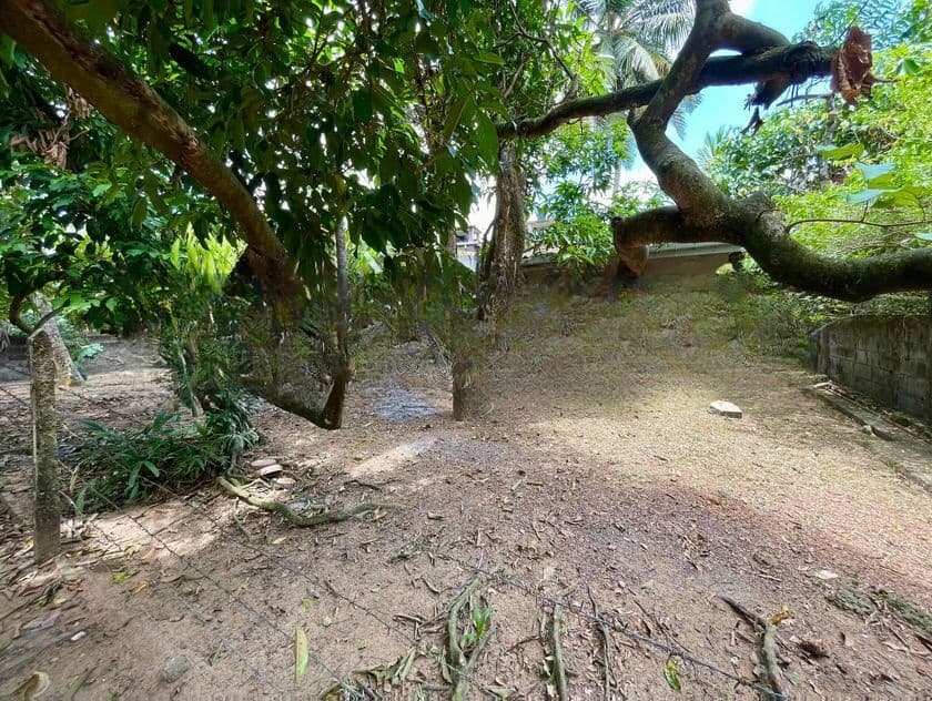 Land for Sale in Kelaniya (REF 36)