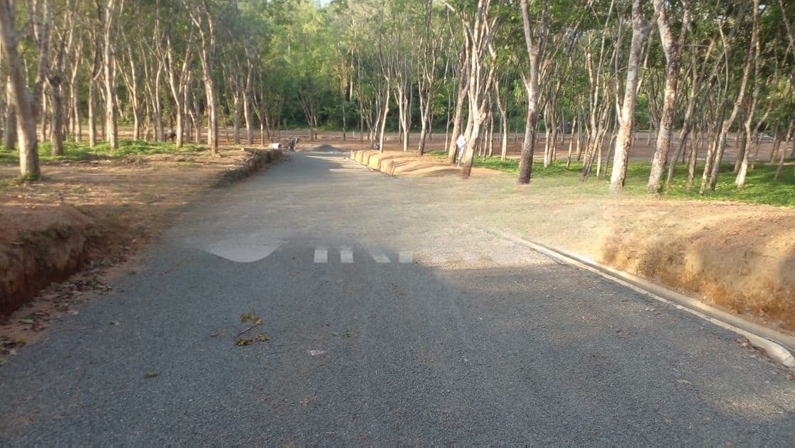 අහංගම සංචාරක කලාපයට ආසන්නව