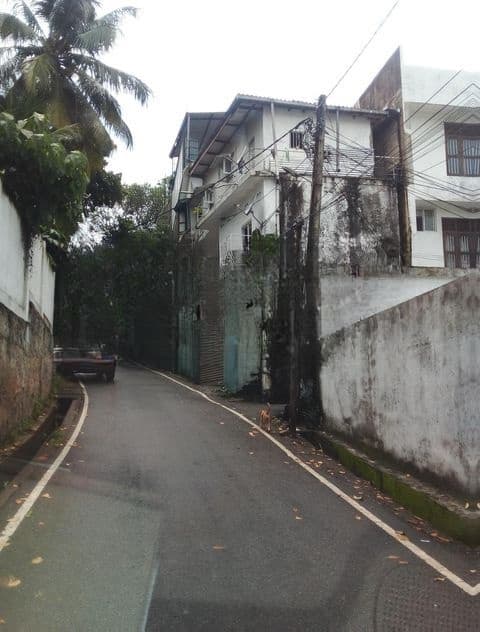 3 bed house n annex