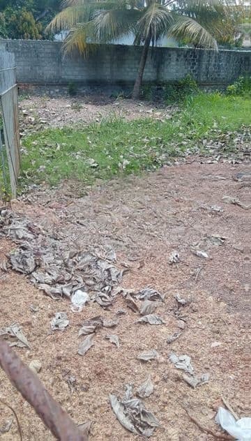 15 Perch Land for Sale in Negombo