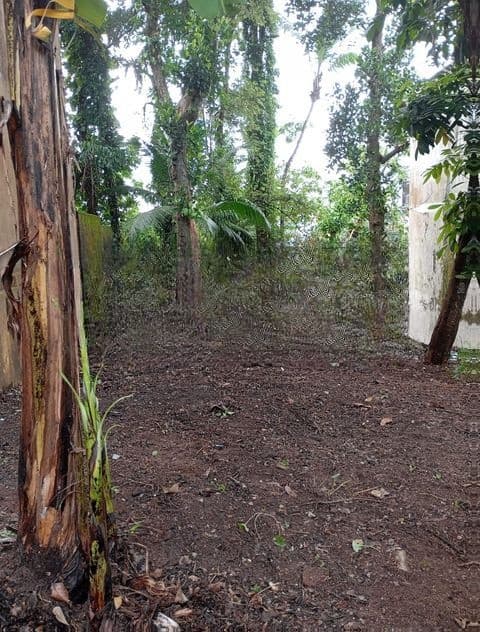 Land for Sale in Thalangama South