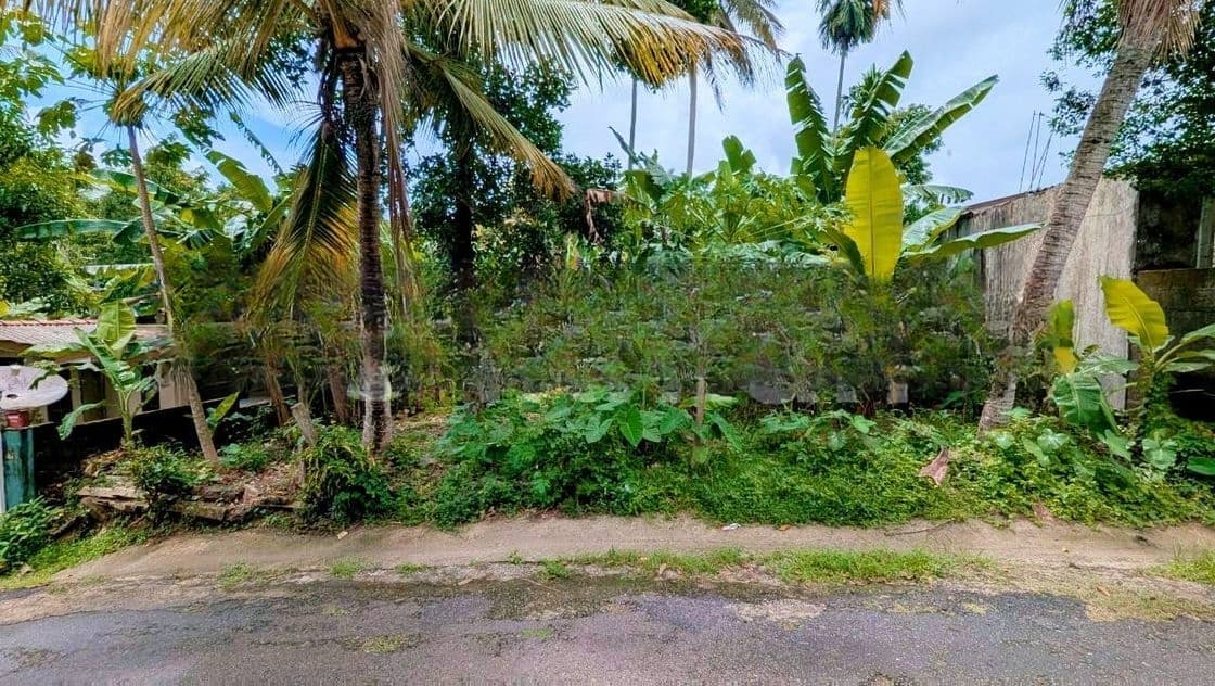 කිරිල්ලවලින් වටිනා ඉඩමක්