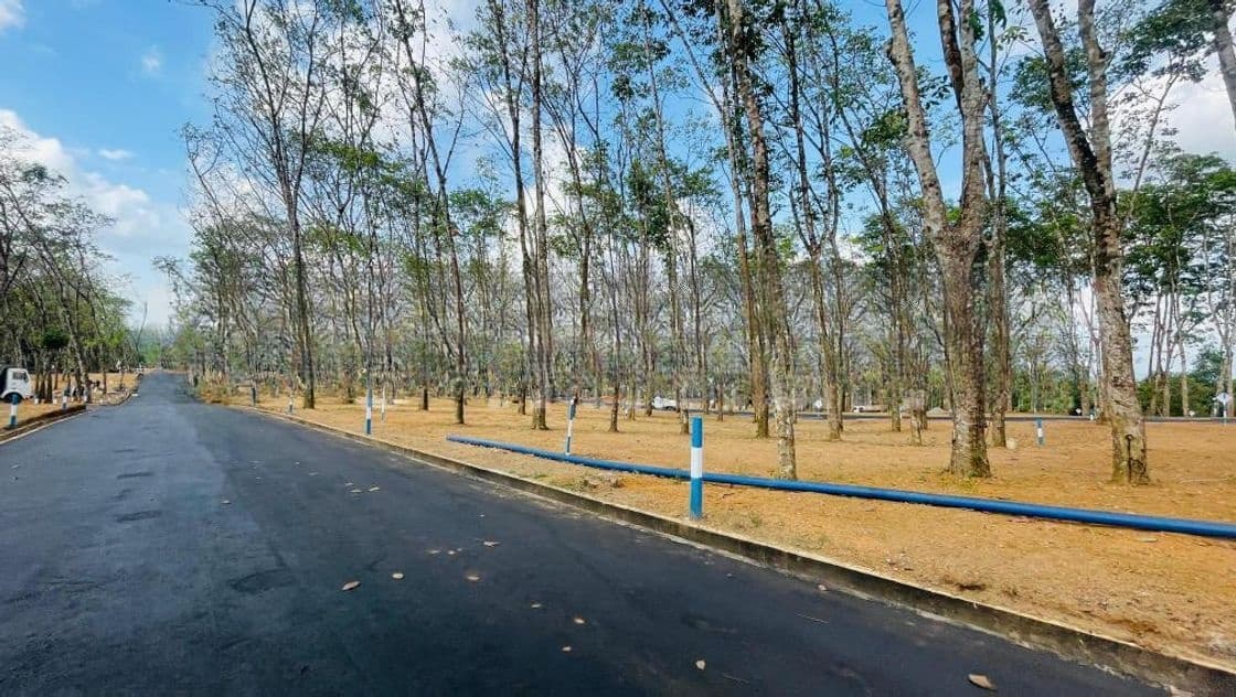 නේවාසික බිම් කොටස් විකිණීම හෝමාගම