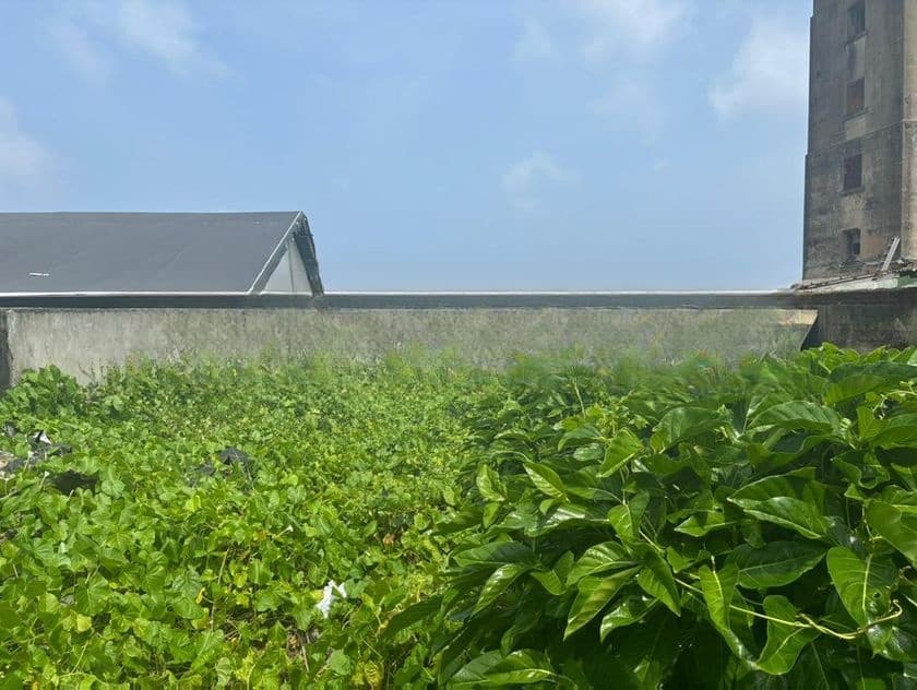 Land For Sale Colombo 3