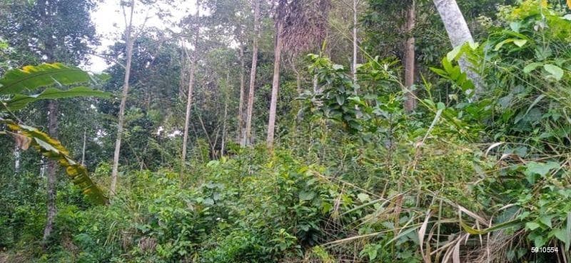 Land For Sale In Pilana Suburbs -code Add 947