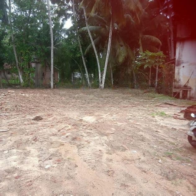 මහබාගේ , පේරලන්දෙන් ඉඩමක්