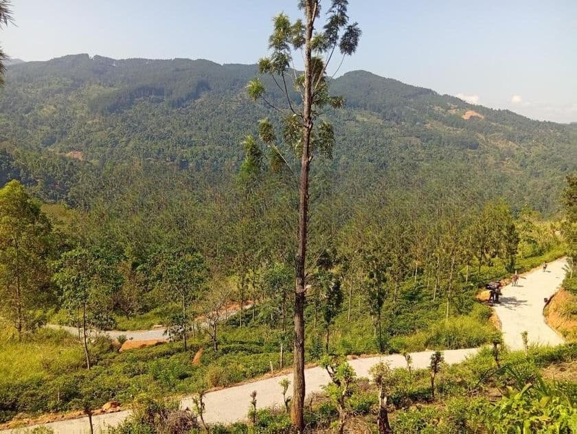 Land Sale In Nilamba