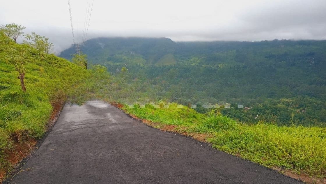 Pudaluoya ඉඩමක්