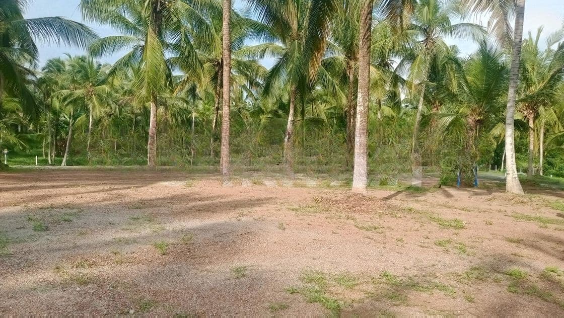 කඩවතින් ඉඩමක්