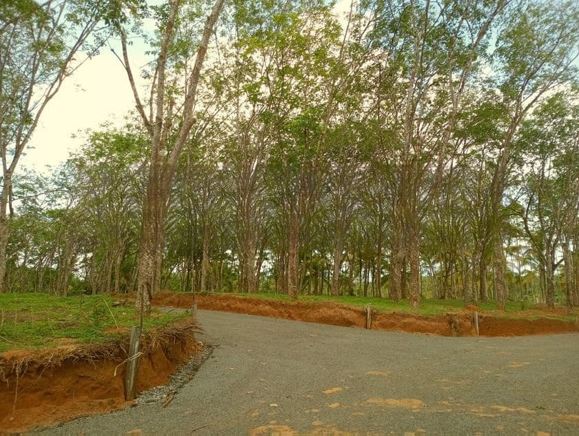 අහංගම සංචාරක කලාපයට ආසන්නව Land