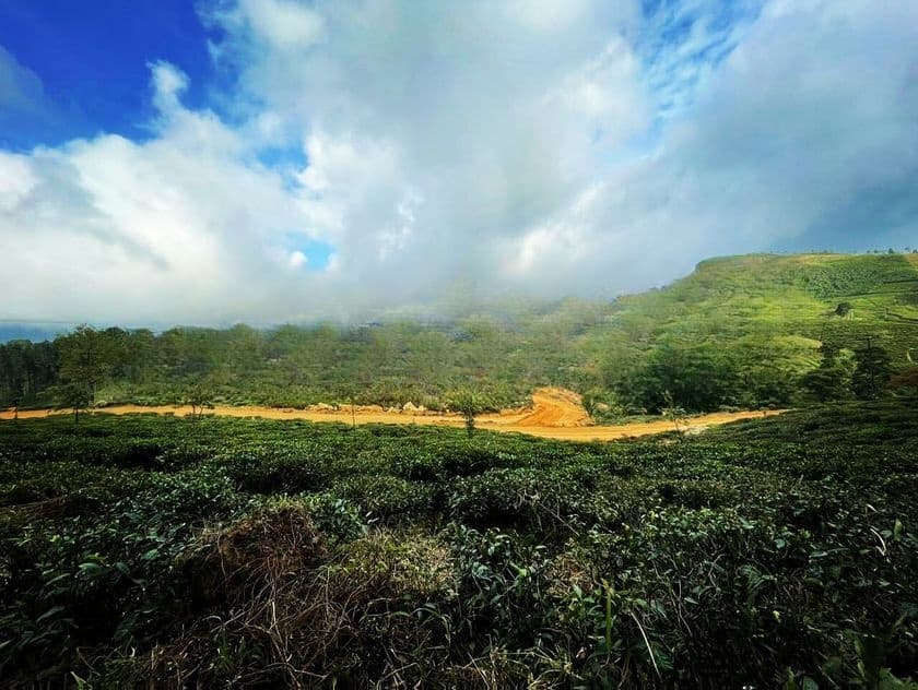 Ramboda Falls Road Nuwaraeliya Land For Sale
