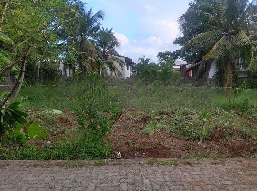 Land for sale in borelesgamuwa