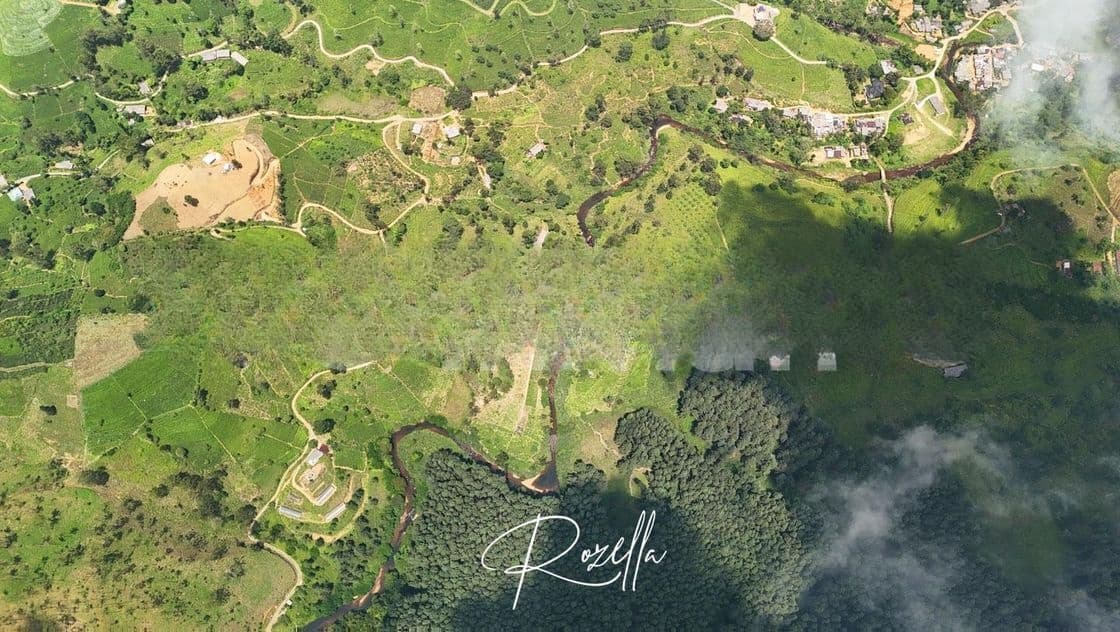 Beautiful Houses For sale In Rozella