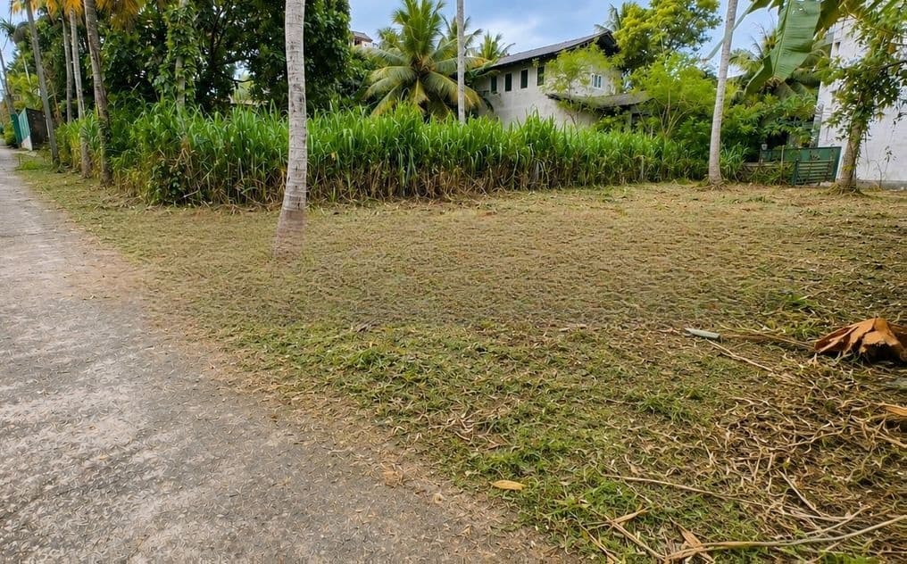 Kadawatha Ganemulla Road Best Residential Land For Sale