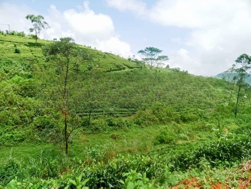 Land for sale in Hatton