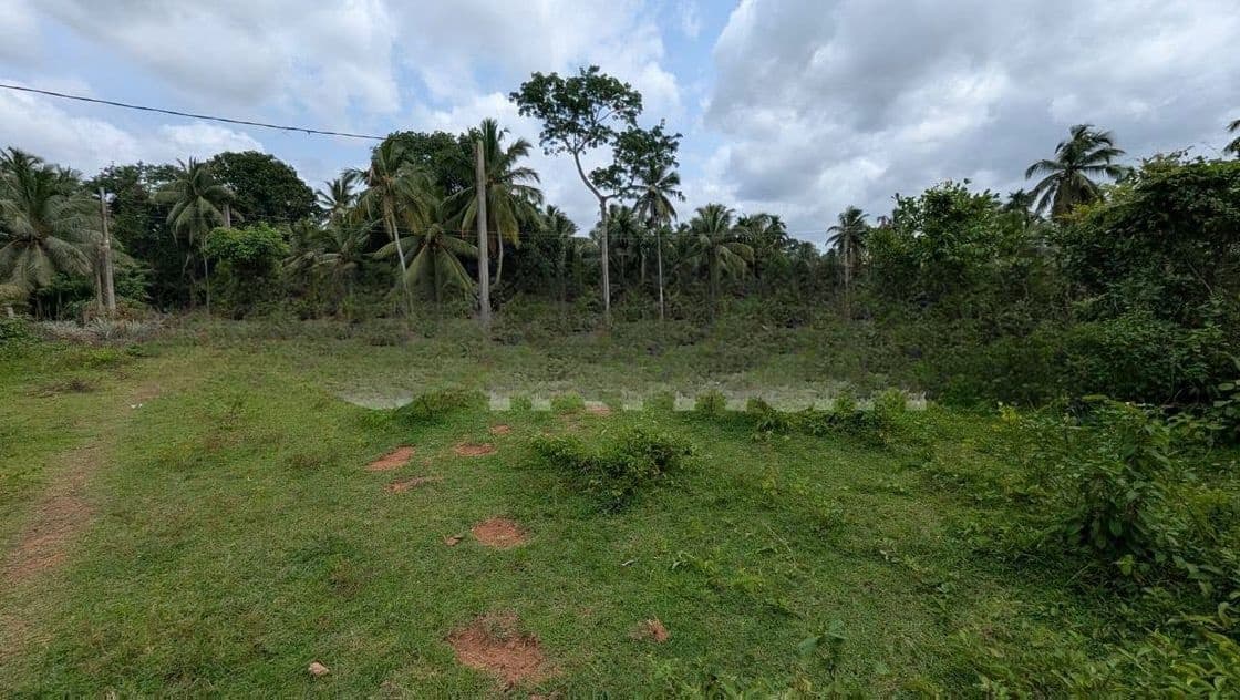කඩවත – වෑබඩින් වටිනා නේවාසික ඉඩමක් / HS 14234