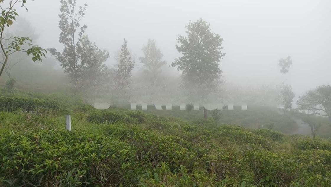 View Point Land for Sale Pundaluoya
