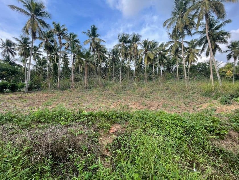 Land for Sale in Yakkala