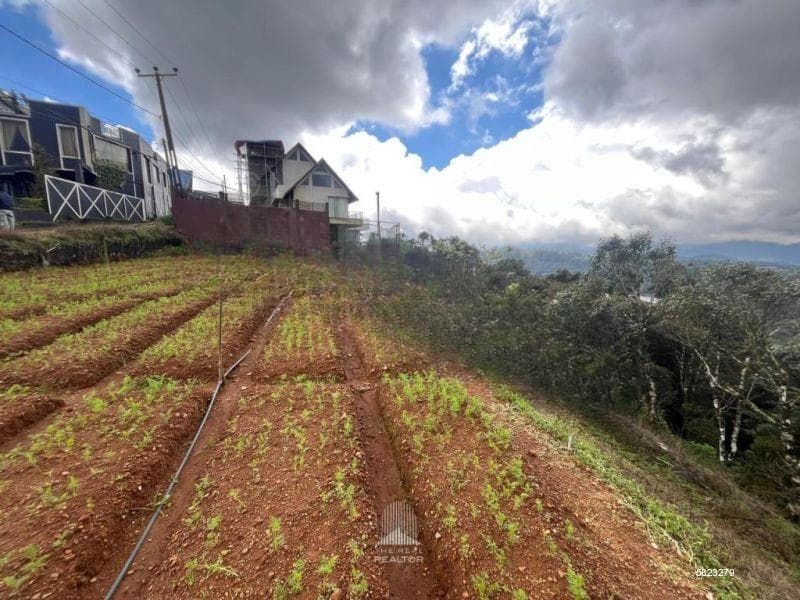 20 Perch land for sale in Nuwara eliya (LSSNE140)