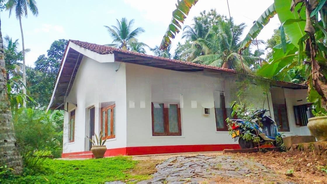 House with Valuable Land for Sale in Weweldeniya, Gampaha