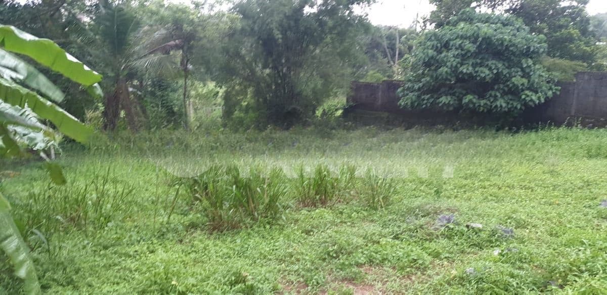 Nugegoda Kandawatta Road 5 Perches Land For Sale