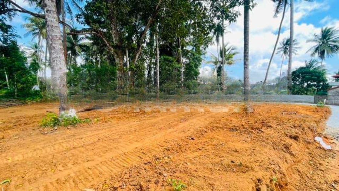 Precious Land Plot for Sale Gamapaha | Yakkala Town