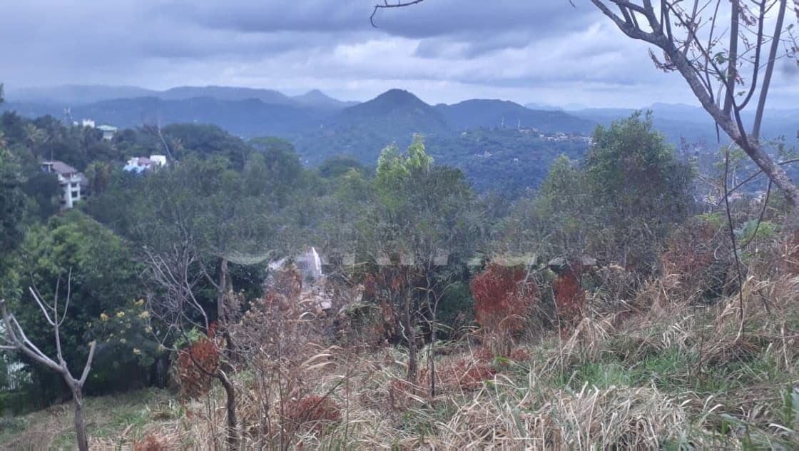 70P – Prime Residential Land for Sale in Kandy | SL14686