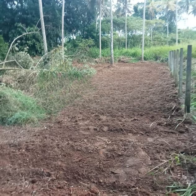 Pothuhera 15 P Land for Sale