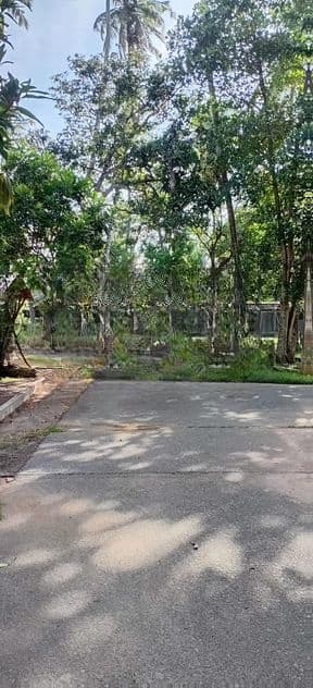Commercial Land for Sale – Thudella, Ja-Ela