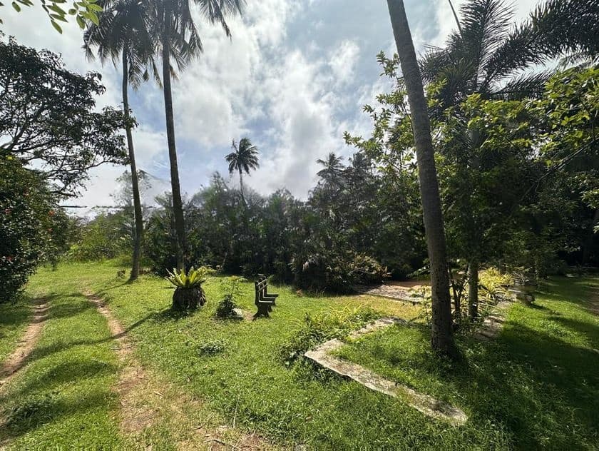 Seeduwa 560 Perches Valuable Land with Houses for Sale