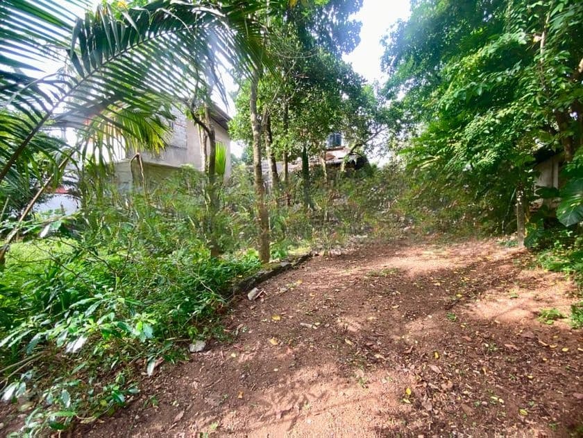 ( IS-1116) Valuable Residential Bare Land Sale in Homagama Godagama