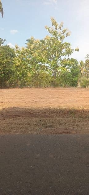 ගම්බිරිගස්වැව අනුරාධපුර පාරට මුහුණා සින්නක්කර බිම් කොටස්