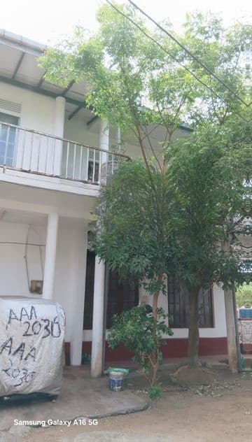 Two Units House Sale in Dehiwala