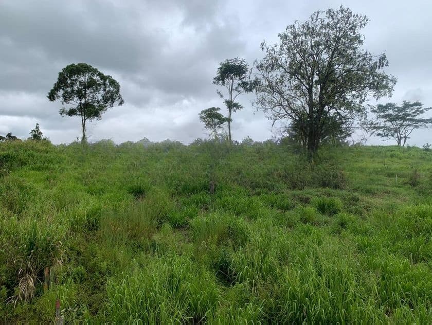 Beautiful Land for Sale Pussellawa